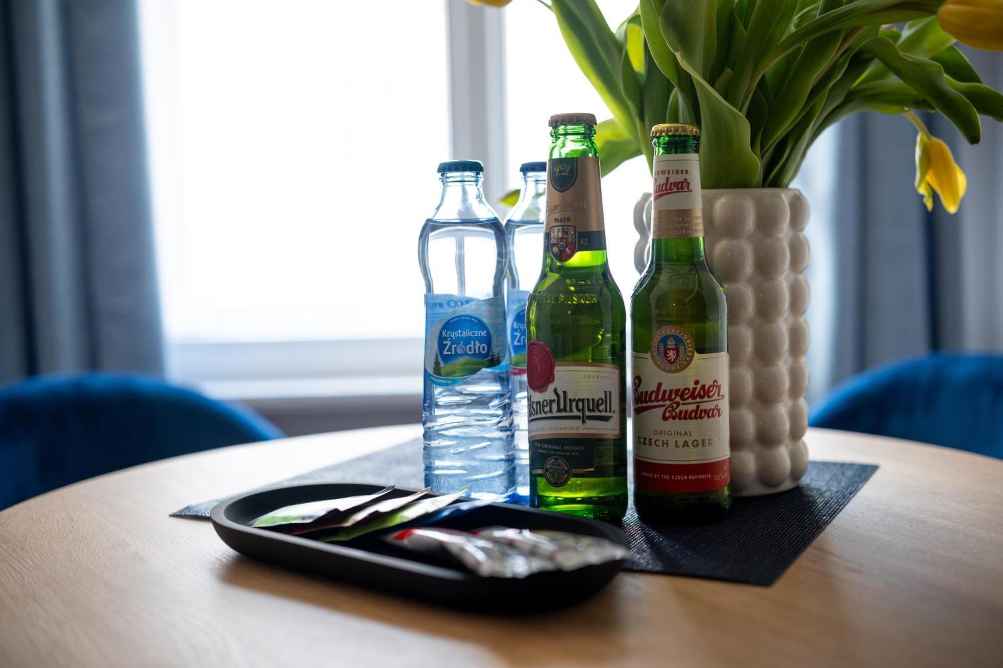 Apartamenty Drevny Kocur Poznań Eksteriør bilde