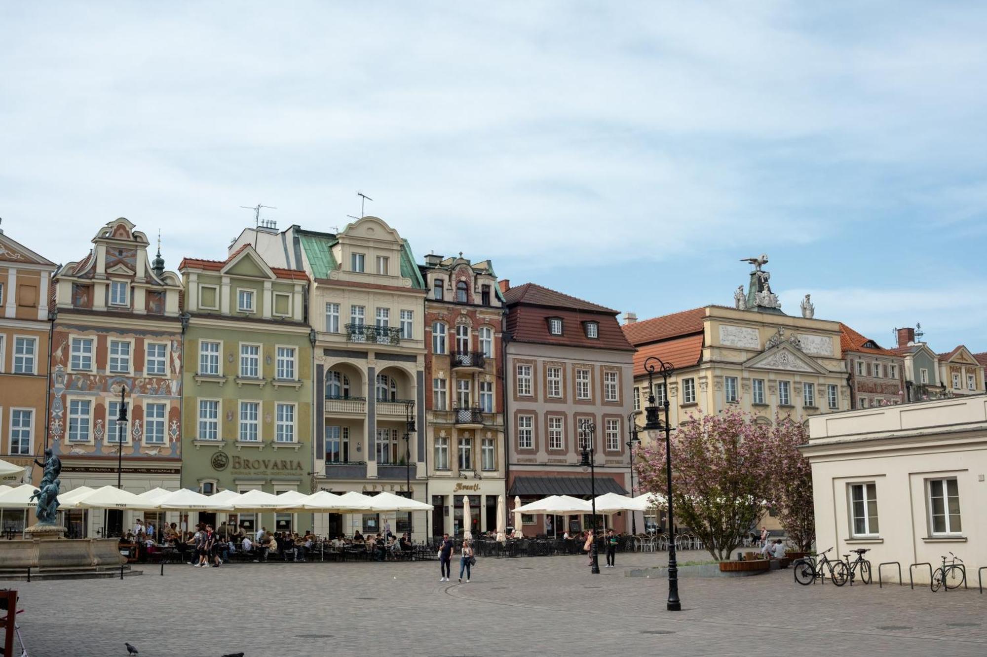 Apartamenty Drevny Kocur Poznań Eksteriør bilde